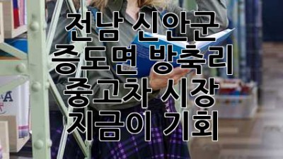 전남 신안군 증도면 방축리 중고차 시장, 지금이 기회? 🚗💨