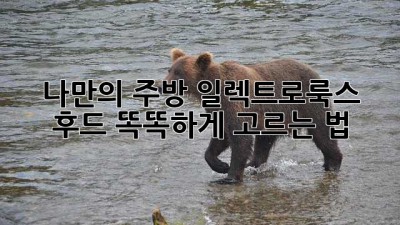 나만의 주방✨ 일렉트로룩스 후드 똑똑하게 고르는 법 💡