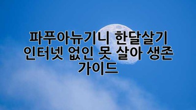 파푸아뉴기니 한달살기🌴: 인터넷 없인 못 살아!📶 생존 가이드